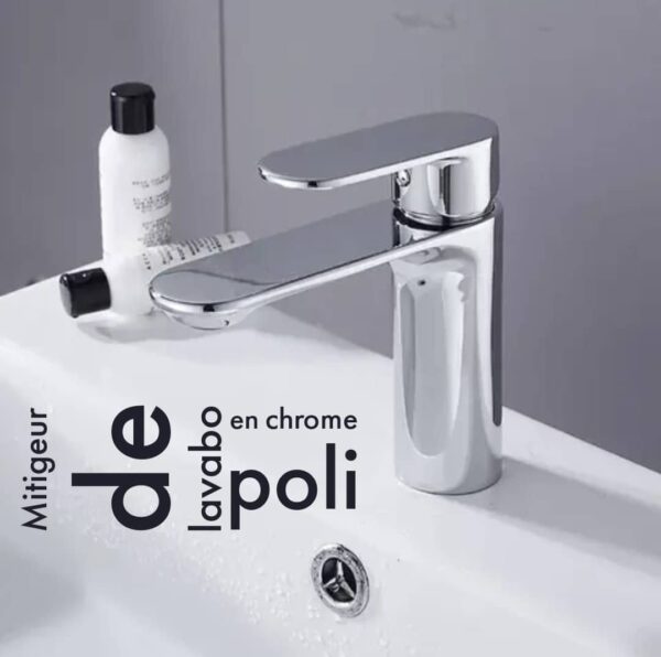 Mitigeur de lavabo